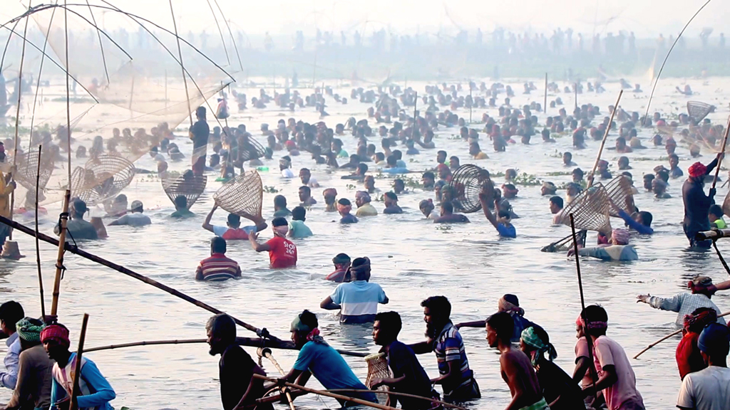 দক্ষ শিকারির মরিয়া হয়ে পানিতে তন্ন তন্ন করে খুঁজে ফিরে মাছ।