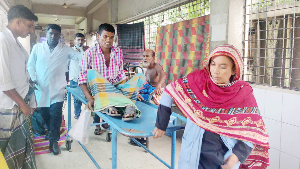 কামড় খেয়ে সাপ নিয়েই হাসপাতালে কৃষক