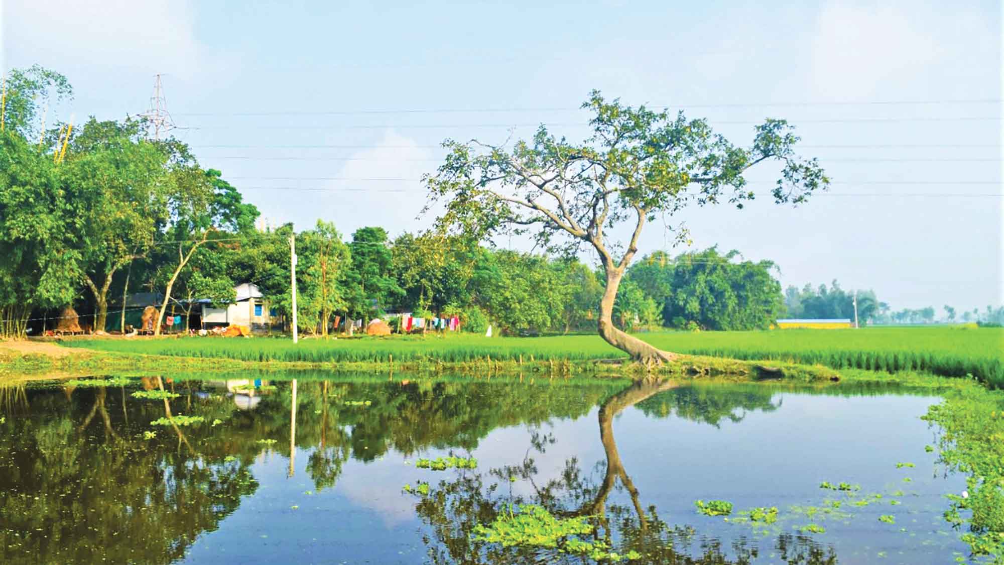 গ্রামের নাম ইকরচালী