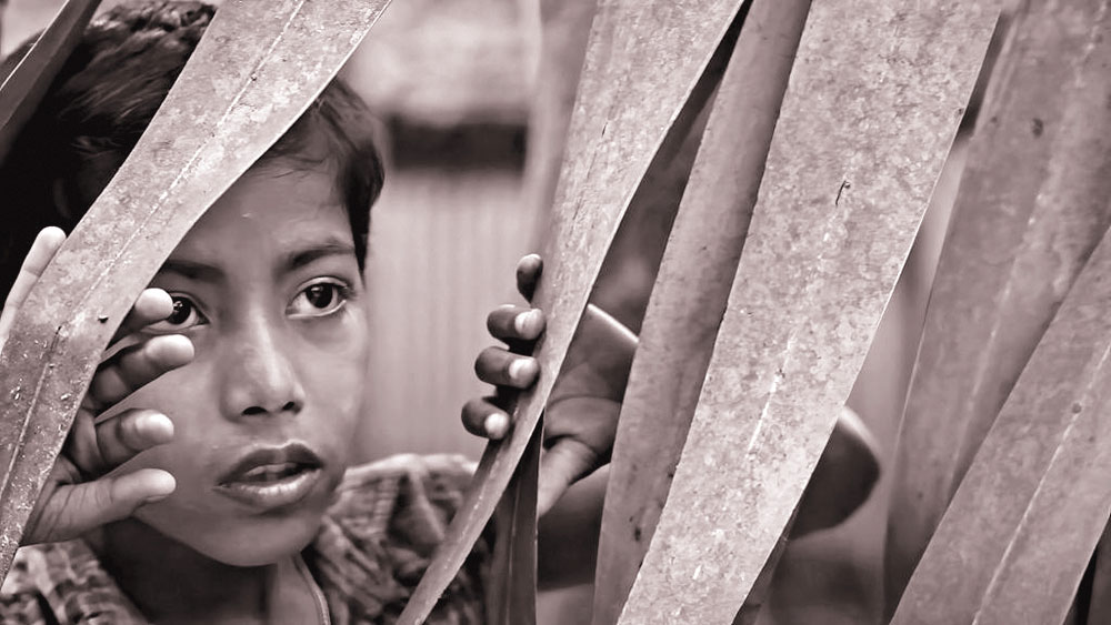 রাশিয়ায় ‘আম-কাঁঠালের ছুটি’