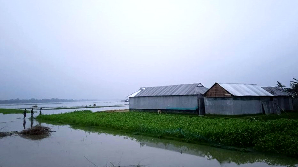 তিস্তা ও দুধকুমারের পানি বিপৎসীমার ওপরে, কুড়িগ্রামে নিম্নাঞ্চল প্লাবিত