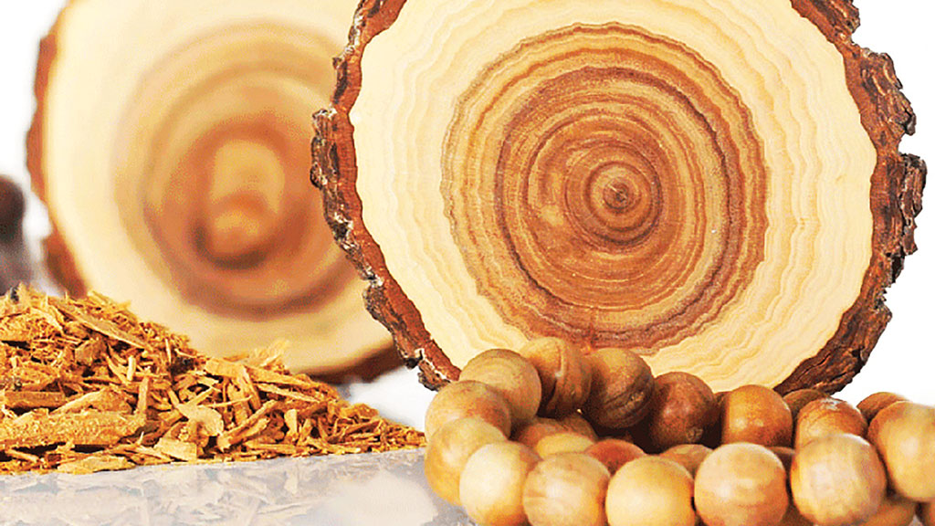 বিশ্বের দামি কাঠ