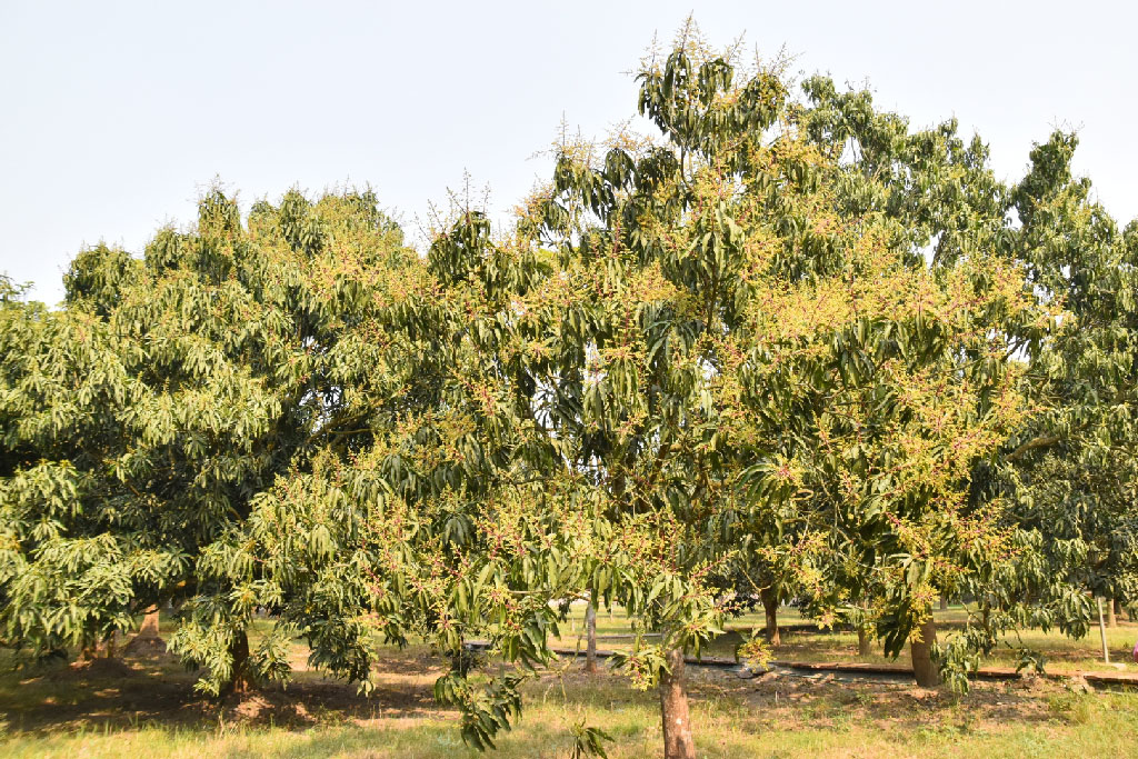 দিনের ছবি (১১ ফেব্রুয়ারি, ২০২৩)