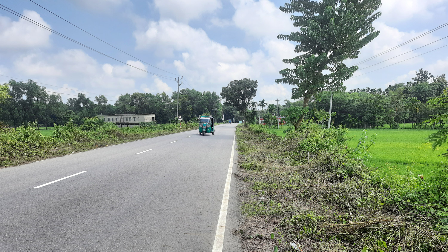 রাজনগরে সড়কের দুপাশের ঝোপঝাড় কেটে পরিষ্কার