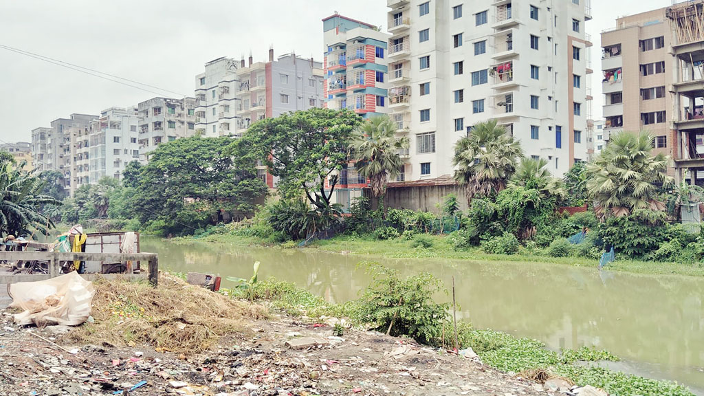 নড়াই ও জিরানি খাল যেন মশার কারখানা