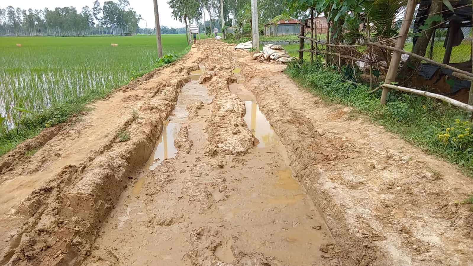 বগুড়ার শেরপুরে এখনো ৩৪৬ কি. মি. গ্রামীণ সড়ক কাঁচা