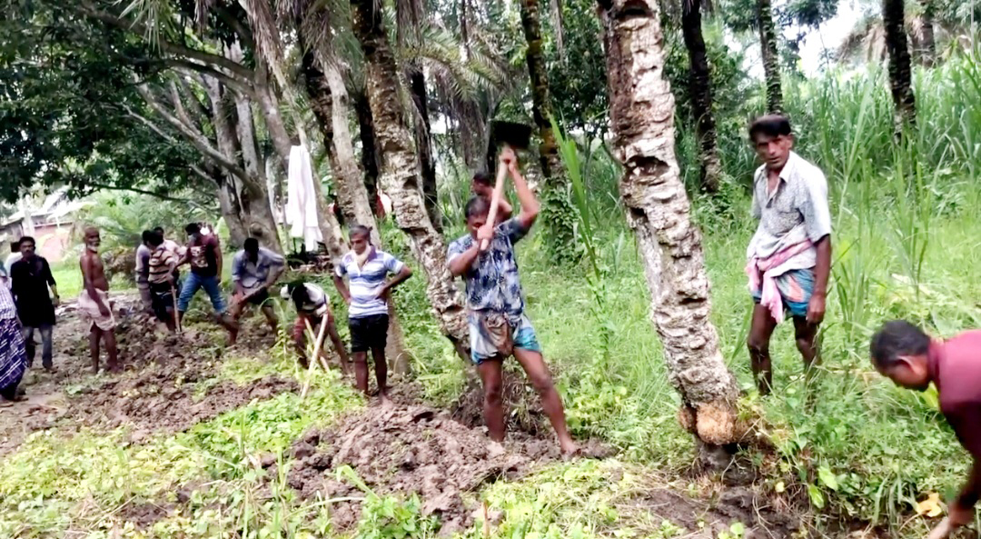 জলাবদ্ধতা নিরসনে ড্রেন খননে নেমেছেন চাষিরা 