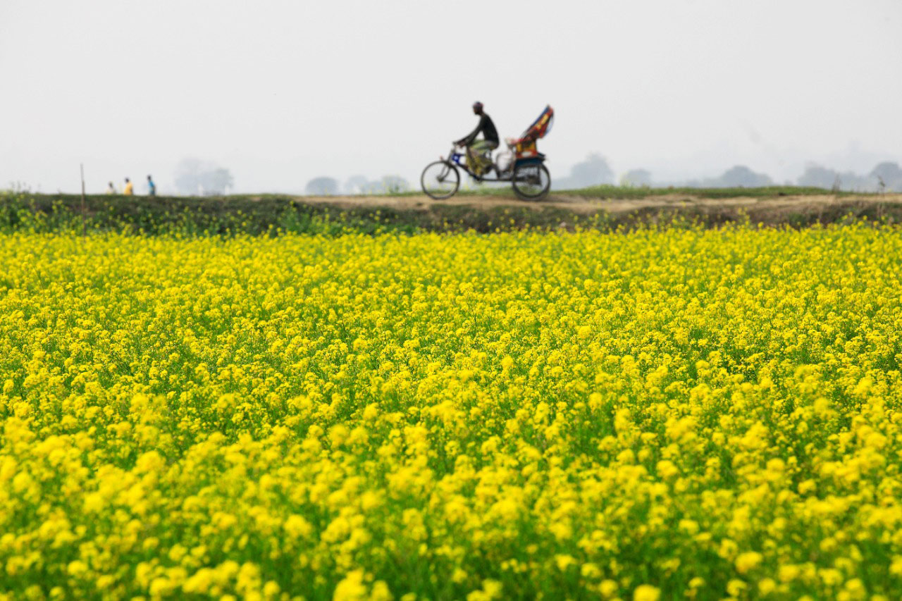 দিনের ছবি (২০ জানুয়ারি, ২০২৩)