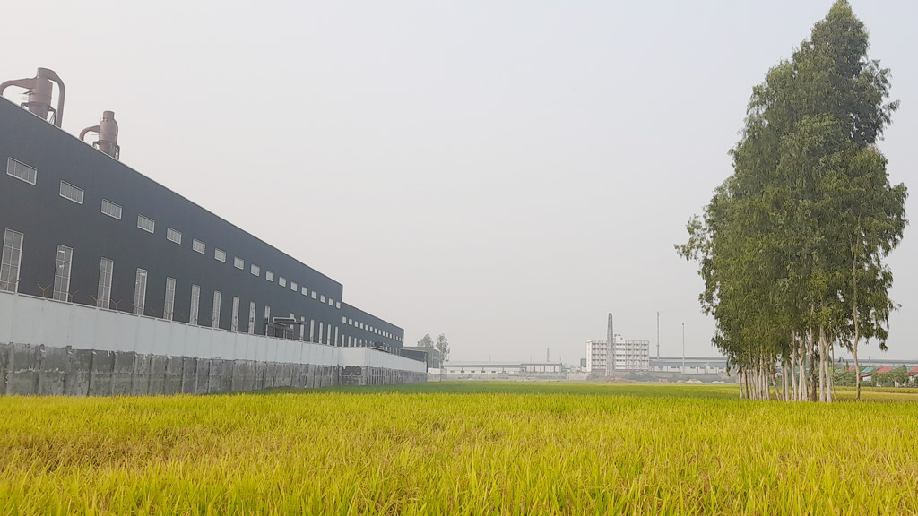 যত্রতত্র শিল্পকারখানা, কমছে আবাদি জমি