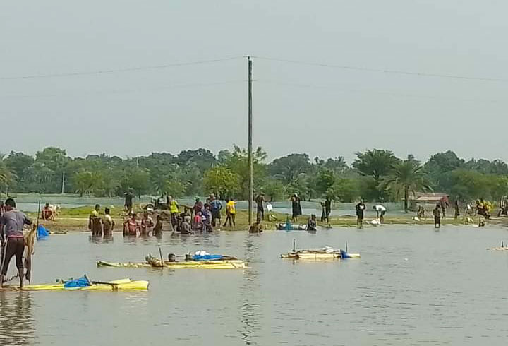 বিভিন্ন জলাশয়ে পানি থইথই করছে। মাছ ধরার ধুম পড়েছে। কেউ ভেলায়, কেউ তীরে দাঁড়িয়ে খেপলা জাল ফেলে মাছ শিকার করছেন। তালা উপজেলার পাটকেলঘাটার খলিষখালীর দলুয়া নদীতে, সাতক্ষীরা, ২১ সেপ্টেম্বর ২০২৪। ছবি: মুজিবুর রহমান