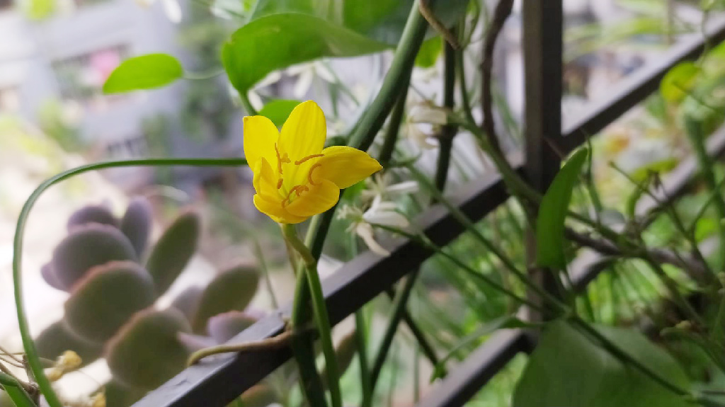 দিনের ছবি (১৭ ডিসেম্বর, ২০২২)