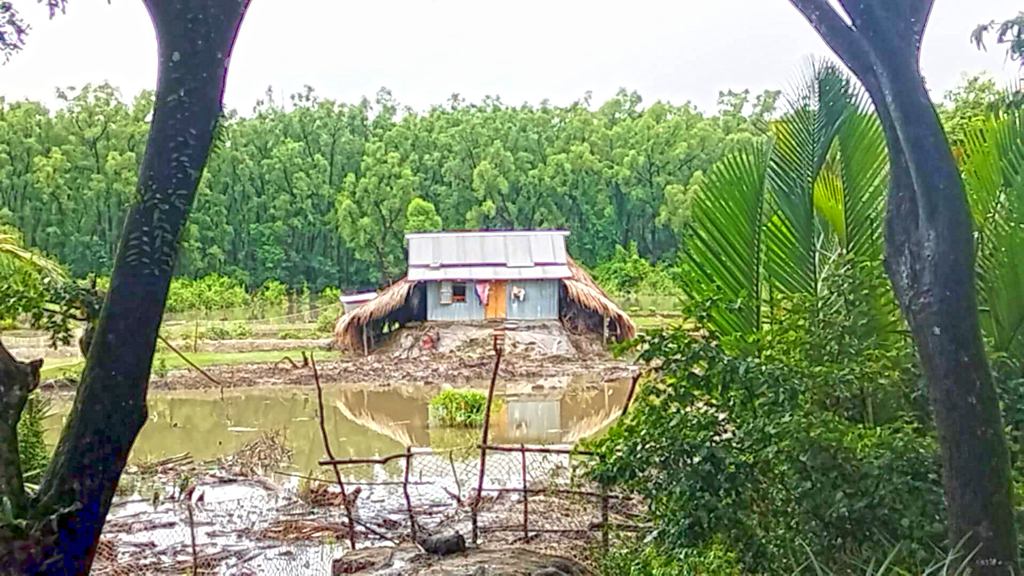 যোগসাজশে সংরক্ষিত বন দখল