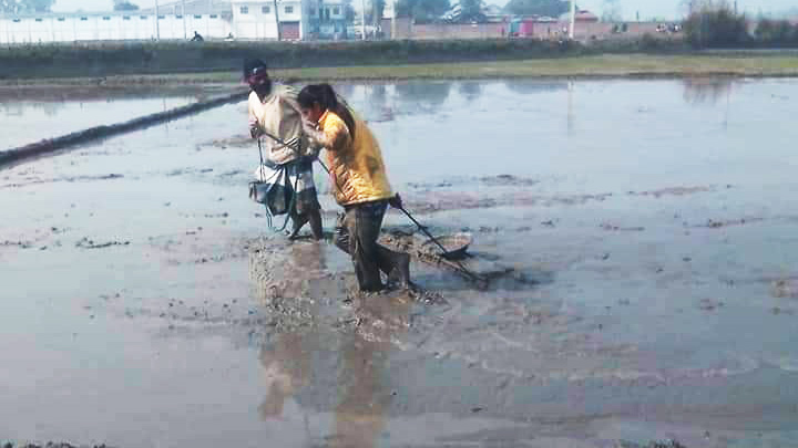 সেই মারুফা সুযোগ পেলেন জাতীয় দলে