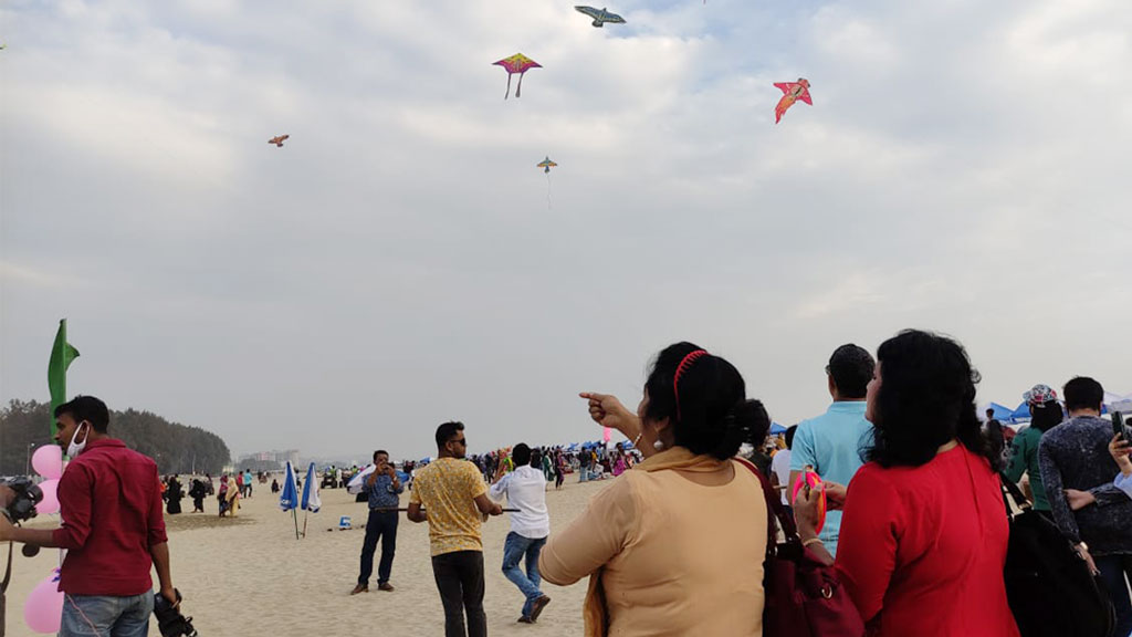 আকাশে উড়ল ডলফিন, বাঘ সৈকতে মুগ্ধ পর্যটক