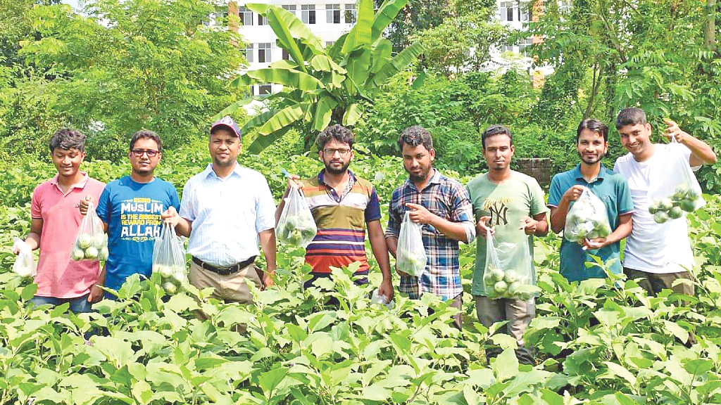 কৃষি গবেষণায় তরুণেরা