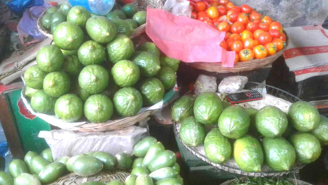 ১ জোড়া লেবুর দাম ১০০ টাকা