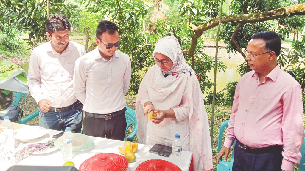 কাঁচা-পাকার বিতর্কে ‘ম্যাঙ্গো ক্যালেন্ডার’