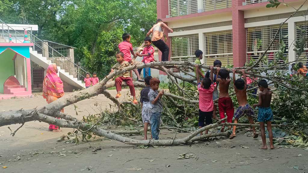 সারা দেশে ঘূর্ণিঝড় রিমালের প্রভাবে ঝড়-বৃষ্টি হয়েছে। নরসিংদীতেও এর ব্যতিক্রম হয়নি। স্কুল মাঠে পড়ে থাকা ঝড়ে বিধ্বস্ত একটা কাঁঠাল গাছের ডালে দুরন্তপনায় মেতেছে শিশুরা। রায়পুরার পূর্বহরিপুর সরকারি প্রাথমিক বিদ্যালয়ের মাঠ থেকে তোলা, নরসিংদী, ২৯ মে ২০২৪। ছবি: হারুনূর রশিদ