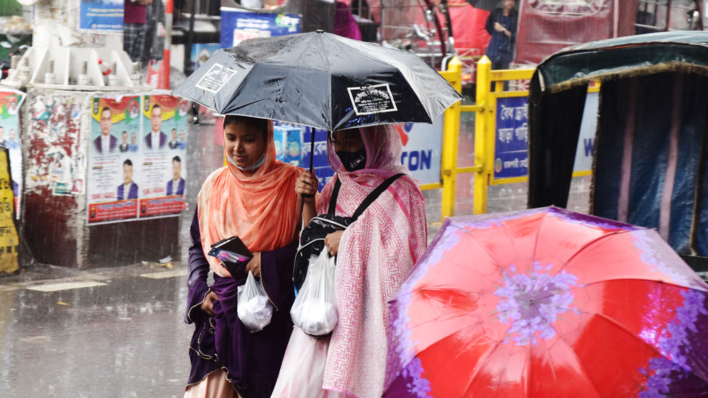 রাজশাহীতে হঠাৎ বৃষ্টি, আমের জন্য আশীর্বাদ