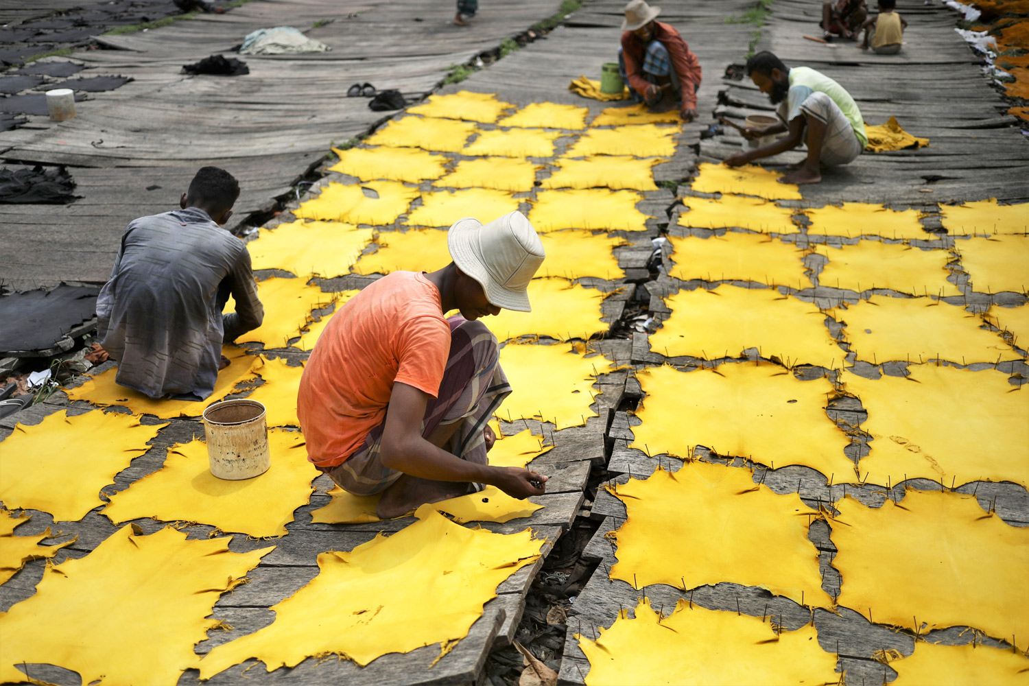 ভেজা চামড়া শুকাতে দিচ্ছে কিছু শ্রমিক।