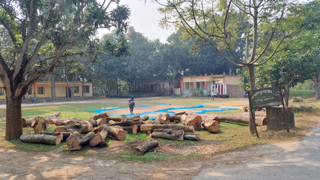 খেলার মাঠে কাঠের ব্যবসা খেলা বন্ধ শিক্ষার্থীদের