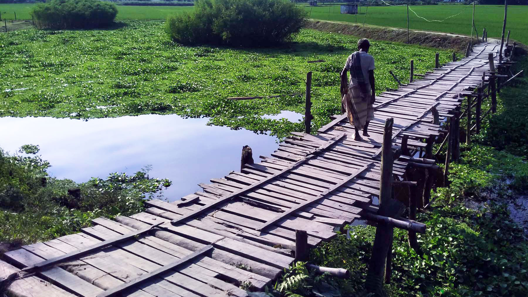 চলাচলে ভরসা সাঁকো