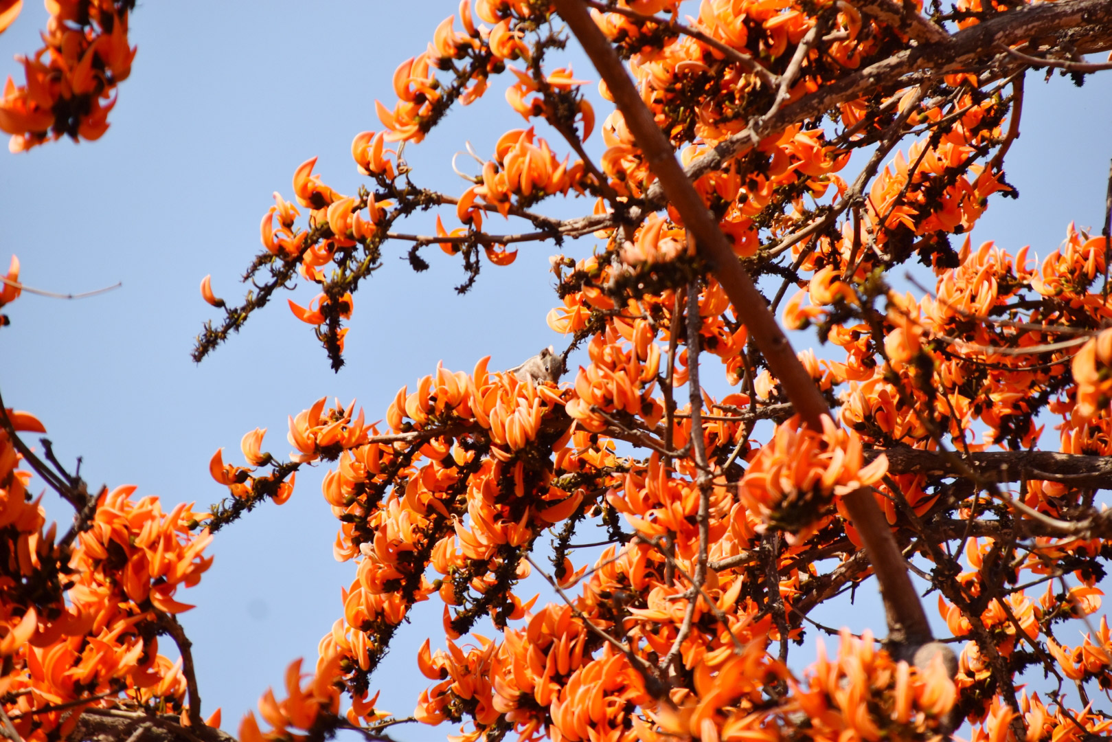 দিনের ছবি (০৭ ফেব্রুয়ারি, ২০২৩)