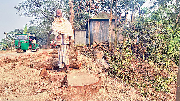 কাটা হলো নিলামের অতিরিক্ত গাছ