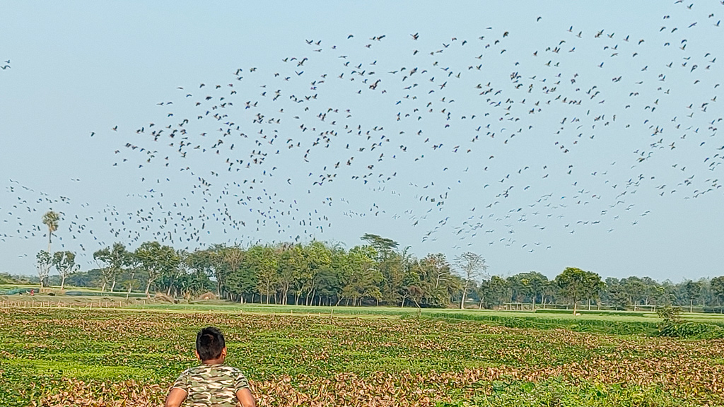 পাখি ও মানুষের মিতালি