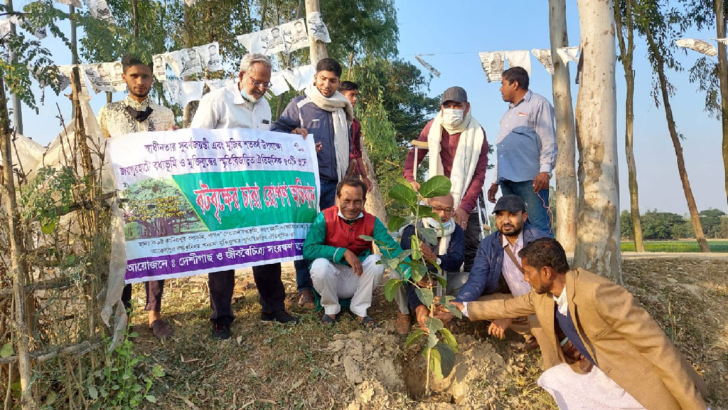 বধ্যভূমিতে বটগাছের চারা রোপণ