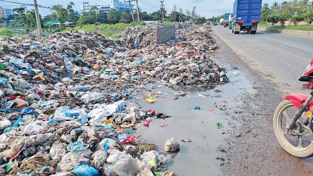 মহাসড়কের পাশে ময়লার স্তূপ