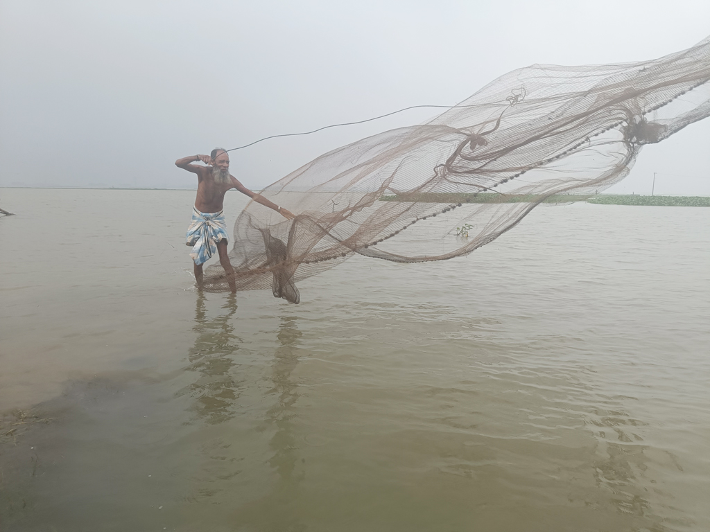 গত কয়েক দিনের বৃষ্টিতে পানি বেড়েছে নদী ও খাল-বিলে। মাছও ধরা পড়েছে বেশ। তাই জাল দিয়ে মাছ শিকার করছেন তোরাবালি মিয়া। সরাইল উপজেলার বরইচারা এলাকা একটি বিল, ব্রাহ্মণবাড়িয়া, ৮ অক্টোবর ২০২৩। ছবি: এম মনসুর আলী