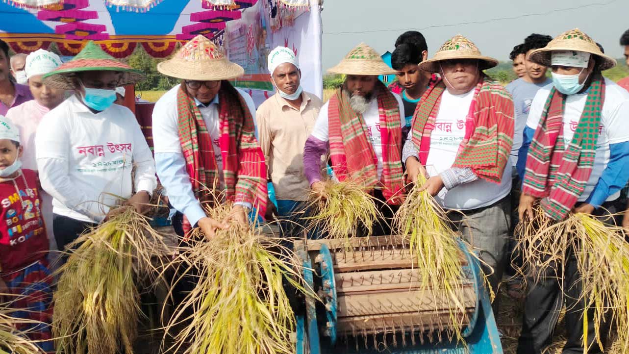 ধান কাটার মধ্য দিয়ে নবান্ন উদ্‌যাপন