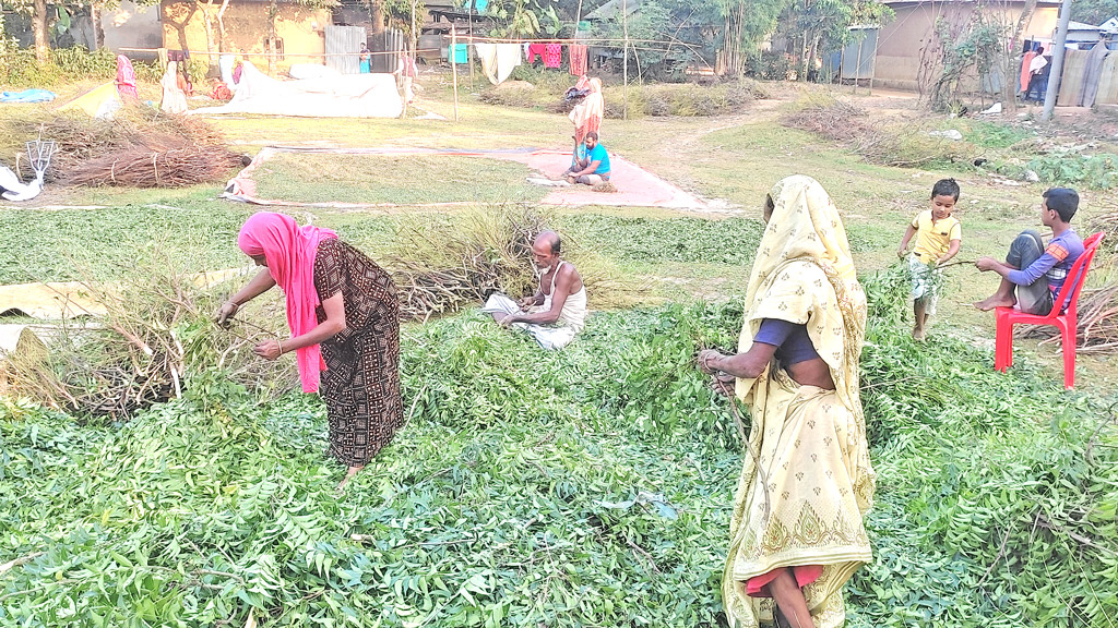 ভেষজ ওষুধের গ্রাম শ্রীপুরের দরগারচালা