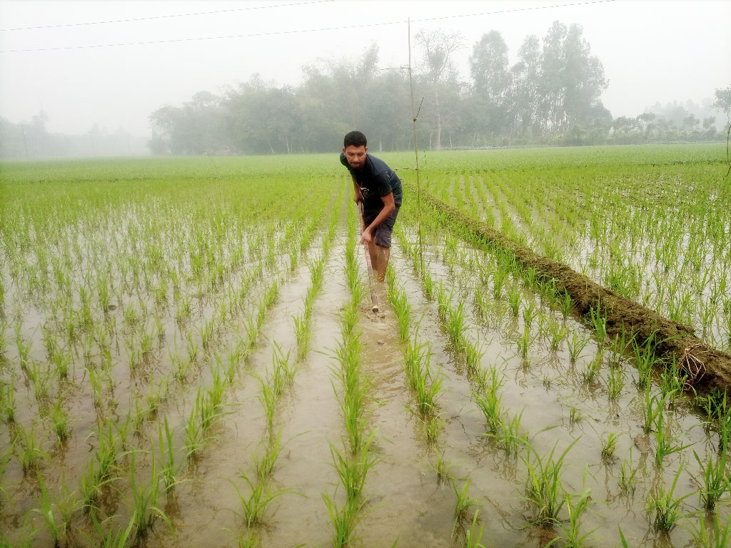 দিনের ছবি (১২ ফেব্রুয়ারি, ২০২৩)