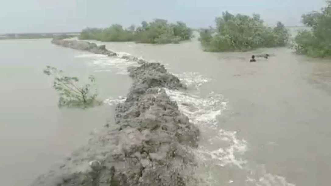 সাতক্ষীরায় বেড়িবাঁধ ভেঙে লোকালয়ে পানি