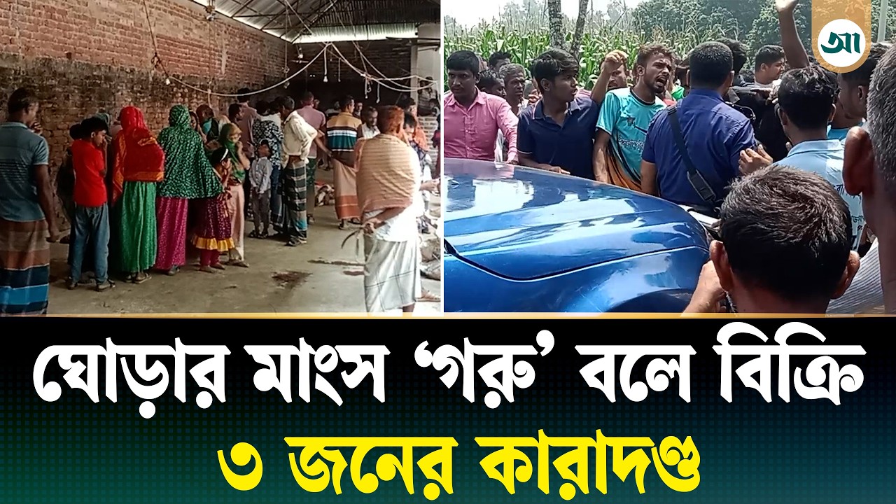 গরুর বলে ঘোড়ার মাংস বিক্রি, ভ্রাম্যমাণ আদালতে ৩ জনের সাজা