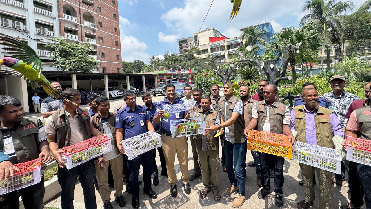 বাসের সাইড বক্সে পাওয়া শতাধিক প্যারাকিট টিয়া উড়ে গেল আকাশে