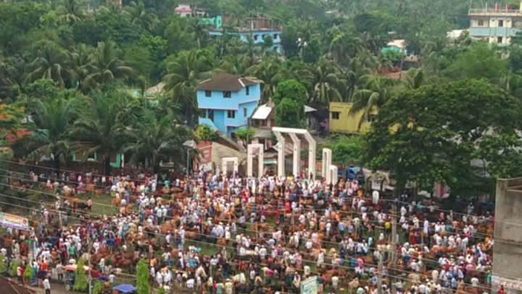 বরগুনায় শহীদ মিনার মাঠে পশুর হাট, ক্ষুব্ধ সচেতন মহল