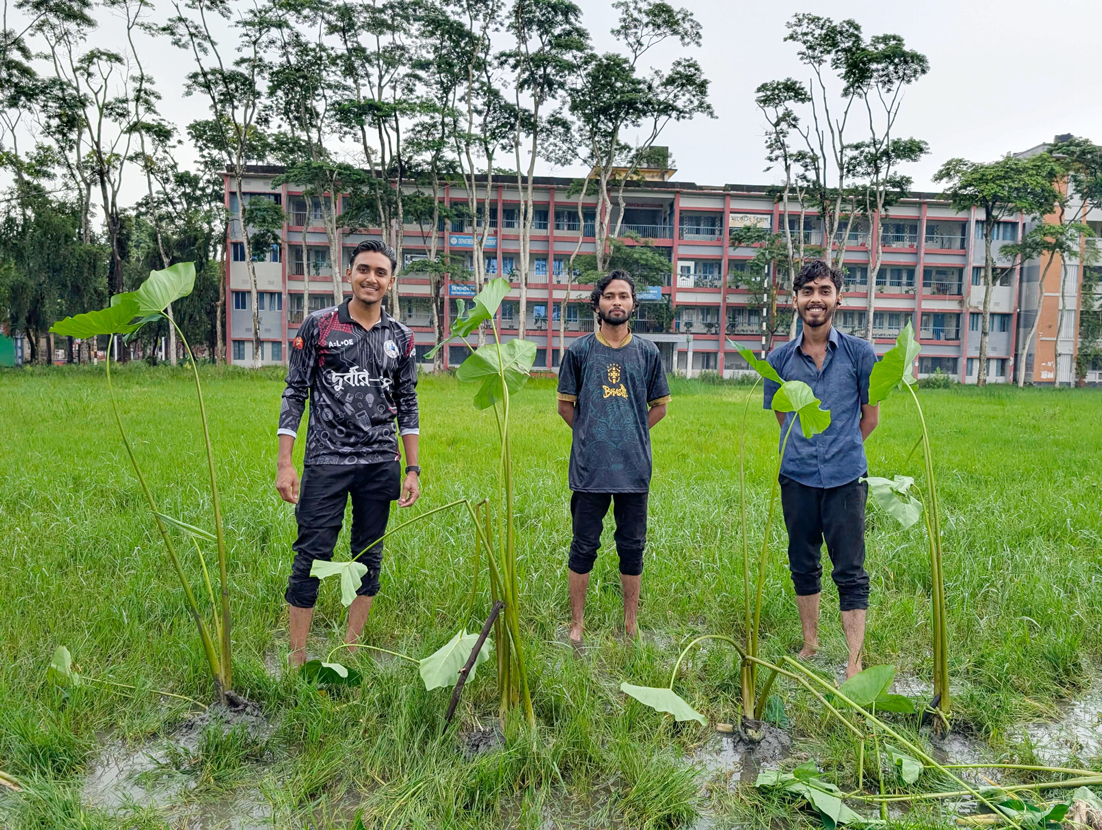 বরিশাল বিএম কলেজ: সংস্কারের দাবি পূরণ না হওয়ায় মাঠে কচুগাছ লাগিয়ে প্রতিবাদ