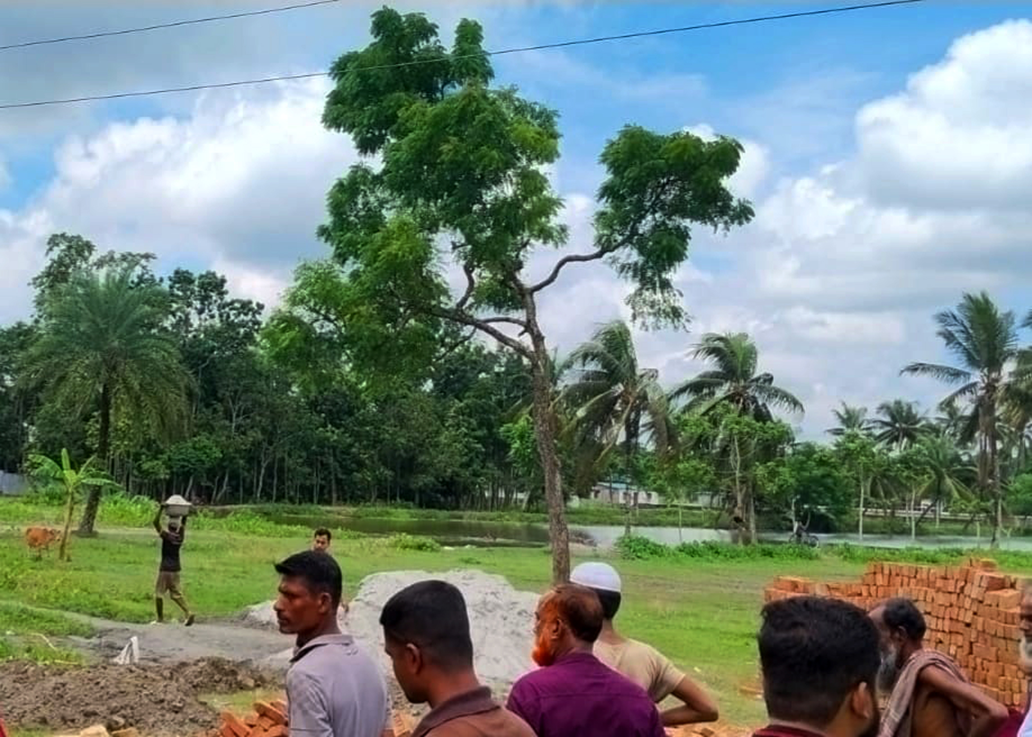 খালেদা জিয়ার স্মৃতিবিজড়িত সেই নিমগাছ রক্ষায় বিসিসির উদ্যোগ
