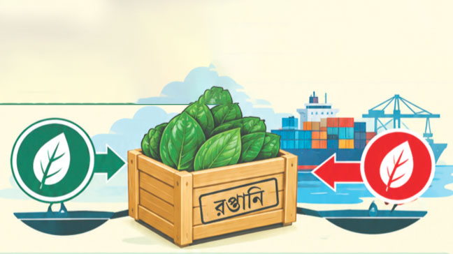 দুই যুগের দ্বন্দ্ব অবসানে পান রপ্তানিতে জোয়ার