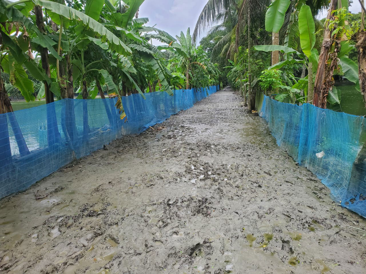 ভোলায় ইট তুলে নিয়ে কাদা-মাটি দিয়ে রাস্তা সংস্কার