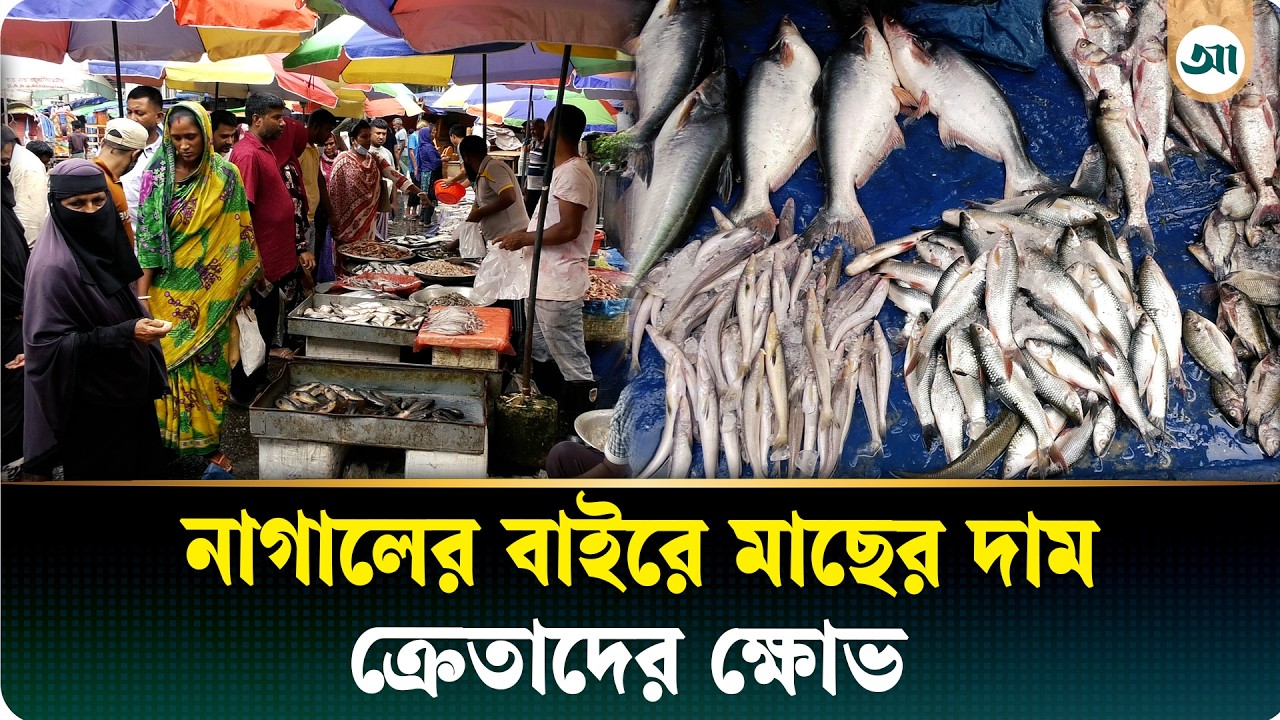 বাজারে মাছের চড়া দাম, ক্রেতা বলছেন ‘আমরা হিমশিম খাই’