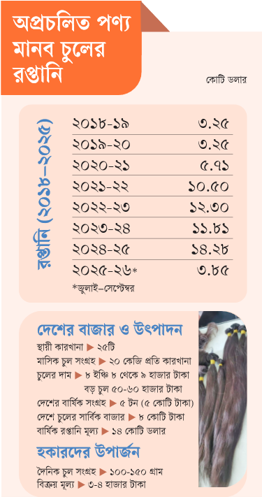 অপ্রচলিত পণ্য মানব চুলের রপ্তানি: ছয় বছরে সাড়ে ৪ গুণ বৃদ্ধি