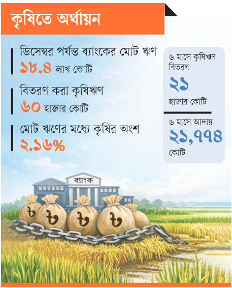 কৃষিতে অর্থায়ন: কৃষিঋণে আগ্রহ কম
ব্যাংকগুলোর