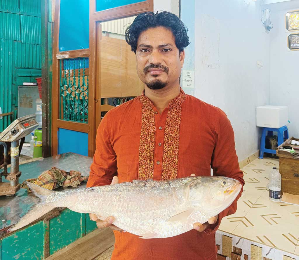 ইলিশ। ছবি: সংগৃহীত
