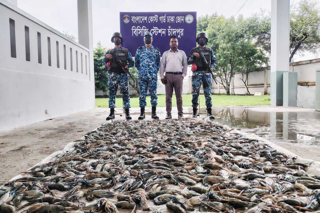 চাঁদপুরে ৩৯০ কেজি জেলিযুক্ত চিংড়ি জব্দ
