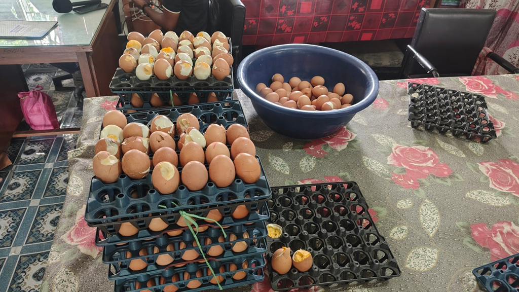 চাঁদপুরে মিড-ডে মিলে পচা ডিম, শিক্ষার্থীদের ক্ষোভ