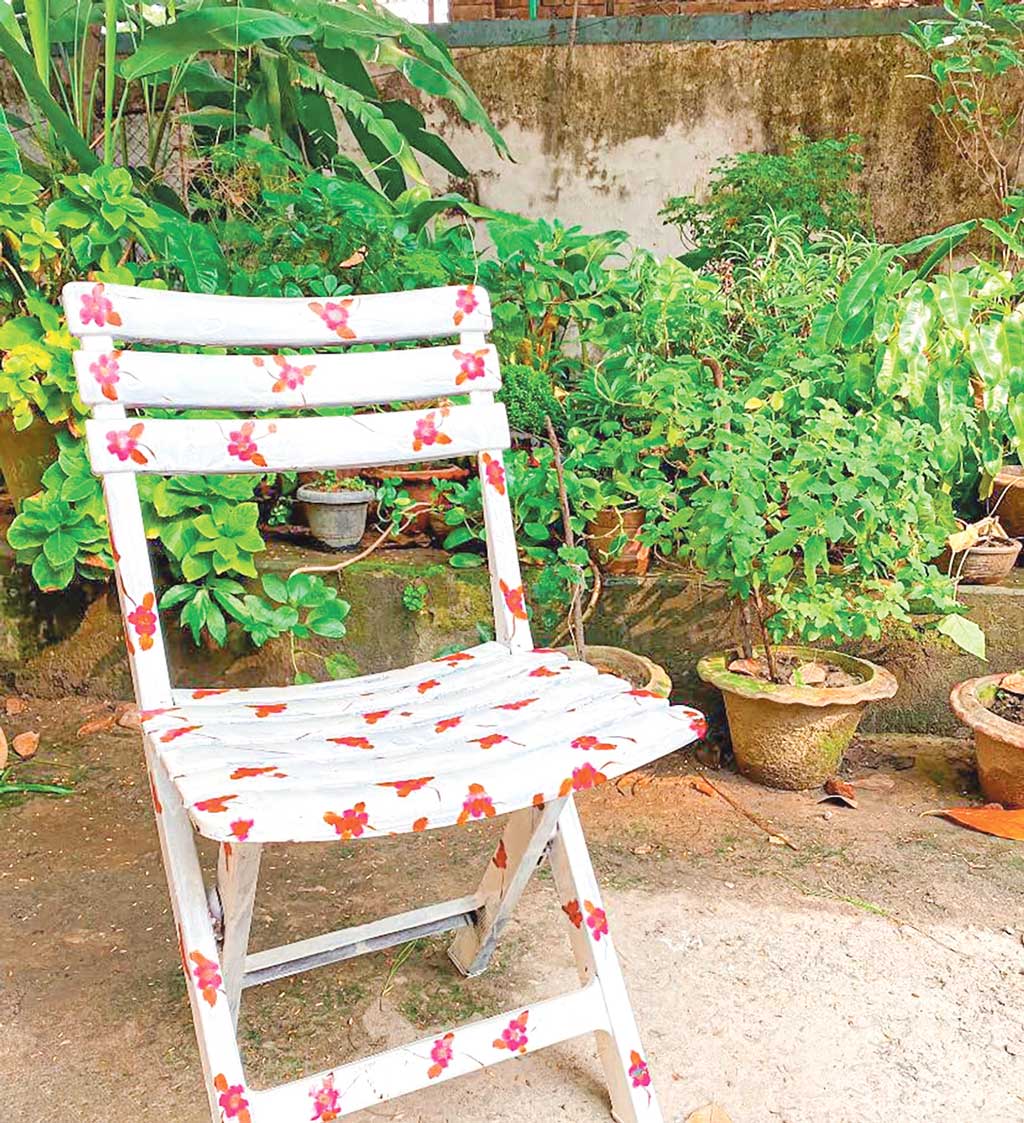 ছবি: ডেকর আপা অন আ বাজেট